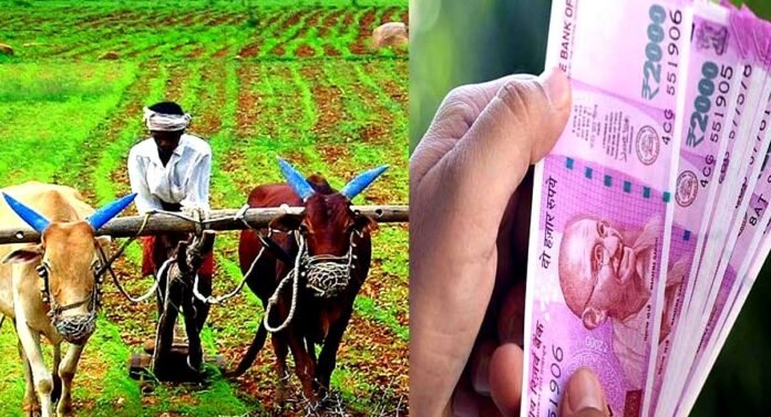 pm kisan yojana 13vi kist kab aayegi know pm kisan 13th installment date ekyc union budget avd