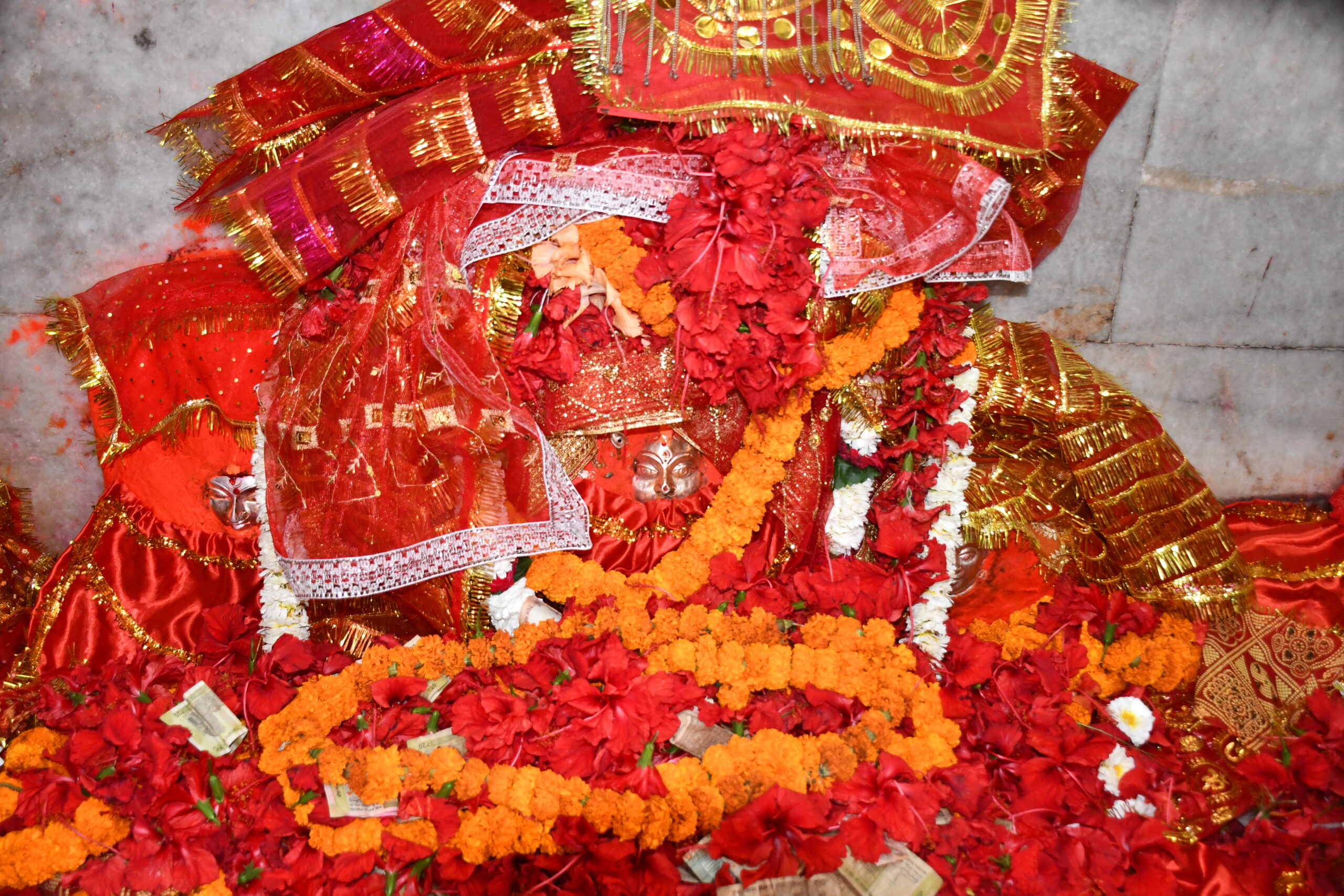 माँ अमिला धाम में चैत्र नवरात्रि का शुभारंभ, पहले दिन उमड़ा श्रद्धालुओं का सैलाब; नौ दिनों तक चलेगा भव्य धार्मिक आयोजन