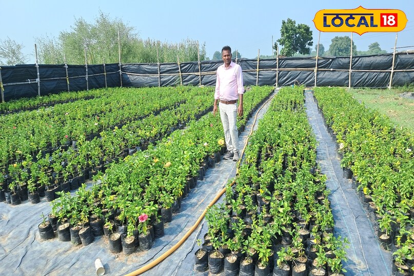 गया न्यूज 