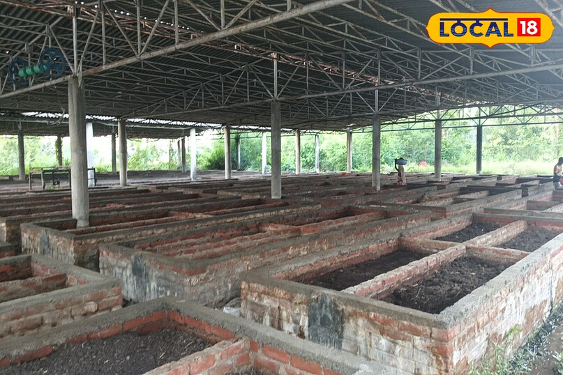 गया न्यूज 