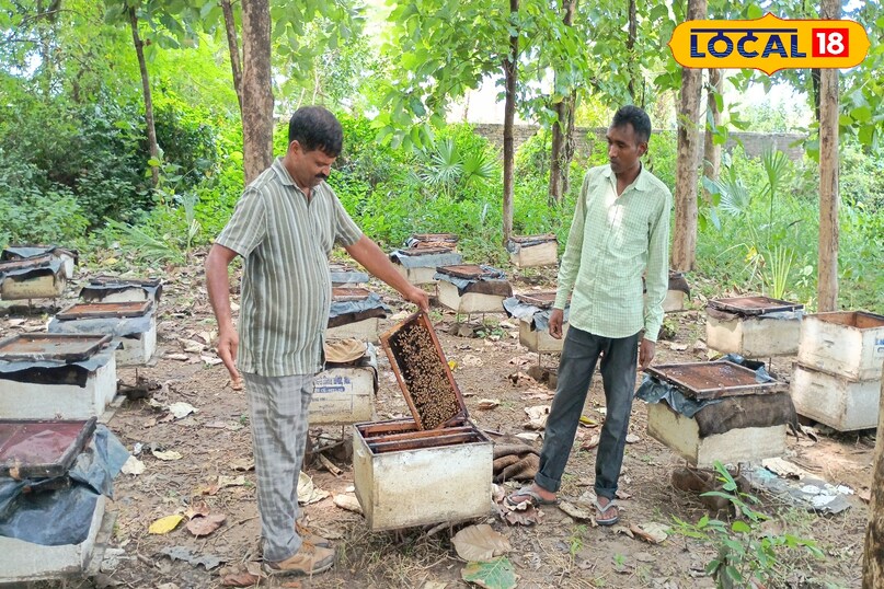 गया न्यूज 