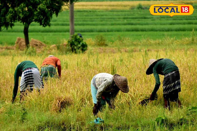 सरकारी मदद