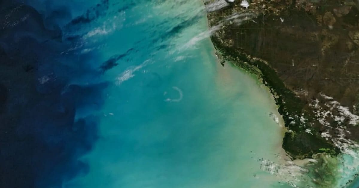 NASA Satellite Photo | Florida Ocean Water Changing Color | स्पेस से दिखा खौफनाक नजारा: रातों-रात बदल गया फ्लोरिडा के समुद्र का रंग, नासा भी रह गया दंग!