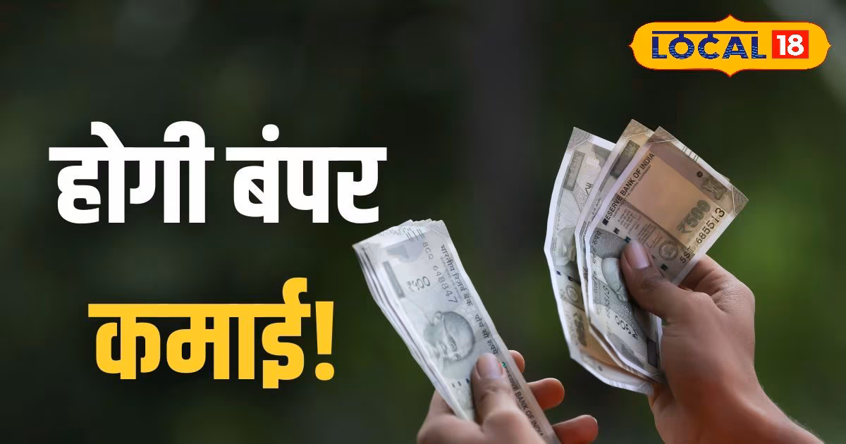 कम इन्वेस्टमेंट…बड़ा मुनाफा, चार सबसे सफल बिजनेस मॉडल जो नहीं होते फेल! फाइनेंशियल एक्सपर्ट दी टिप्स