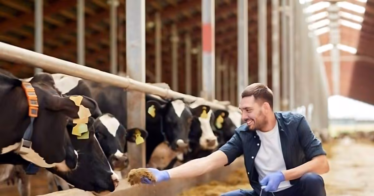 कम पूंजी में लगातार चलने वाला बिजनेस! न कोई पढ़ाई ना ही कोई भारी गणित, लाखों में होगी कमाई