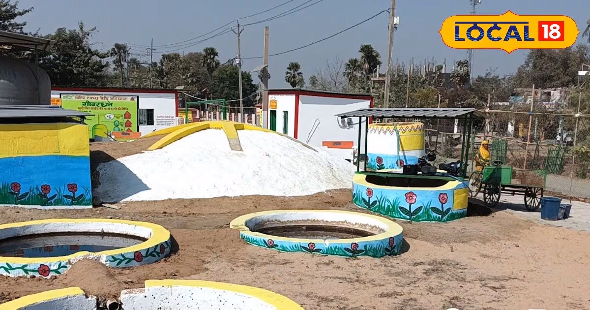 कम लागत… डबल मुनाफा और पर्यावरण भी सुरक्षित, ये 5 बिजनेस आपको कर देंगे मालामाल