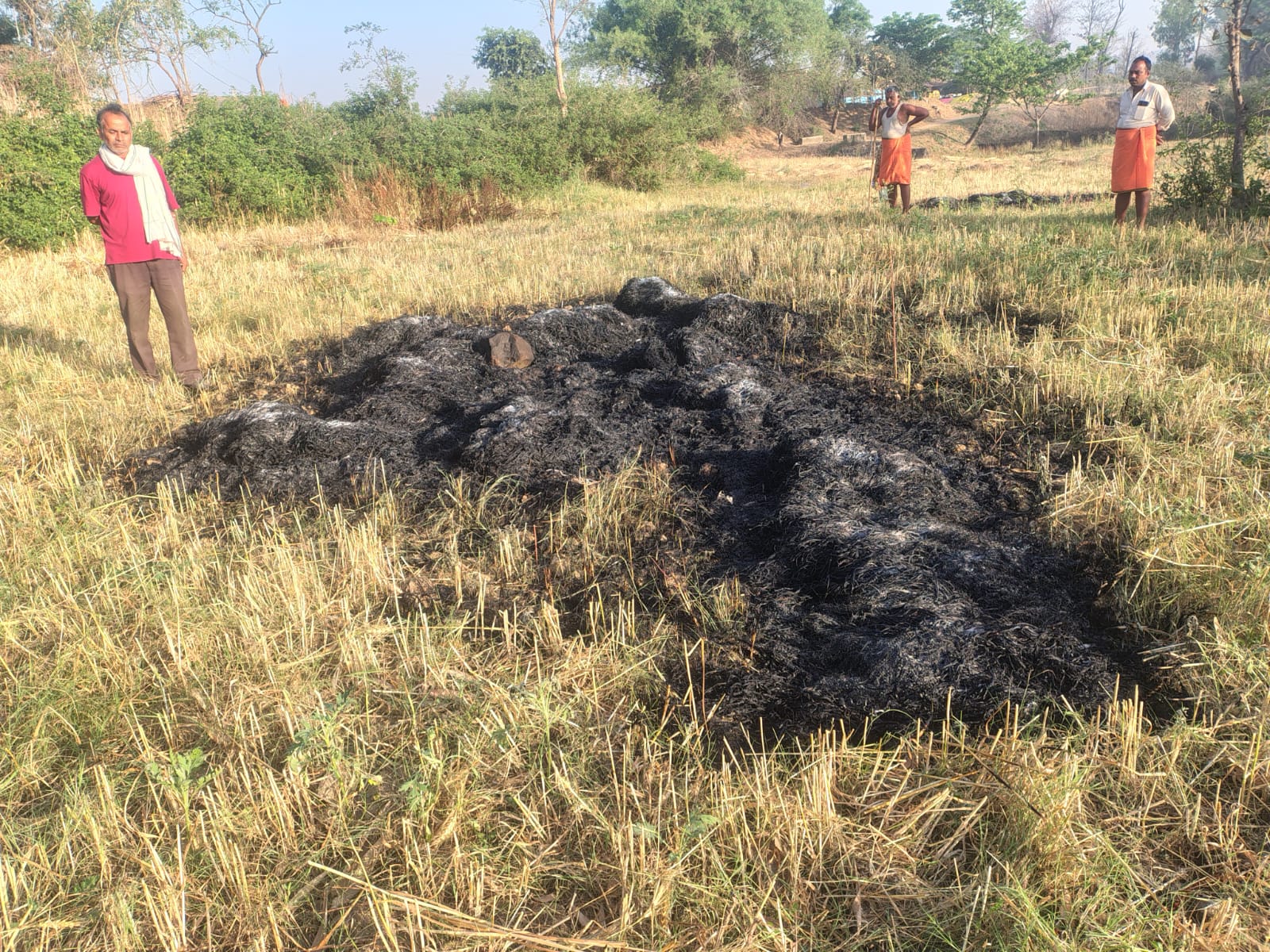 खेत में रखे गेहूं के बोझ में लगाई आग, किसान को भारी नुकसान – दोषियों की जांच कर न्याय की मांग 🔥
