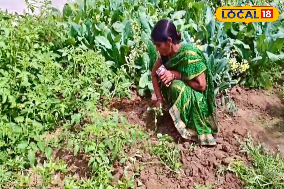 पॉलीहाउस से बदली गीता की किस्मत, मिर्च-टमाटर से भिंडी तक, गर्मी में भी लहलहा रहीं सब्जियां