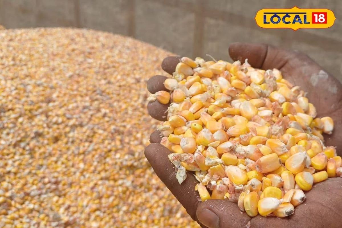 पापड़, लड्डू और स्नैक्स… गोंडा में महिलाएं मक्के से बना रहीं उत्पाद, किसानों को भी मिल रहा लाभ