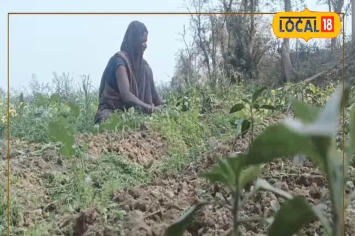 Video: एयरपोर्ट के पास लहलहाई ‘तीखी’ कामयाबी! बिना सरकारी मदद महिला ने बुलेट से बदली किस्मत