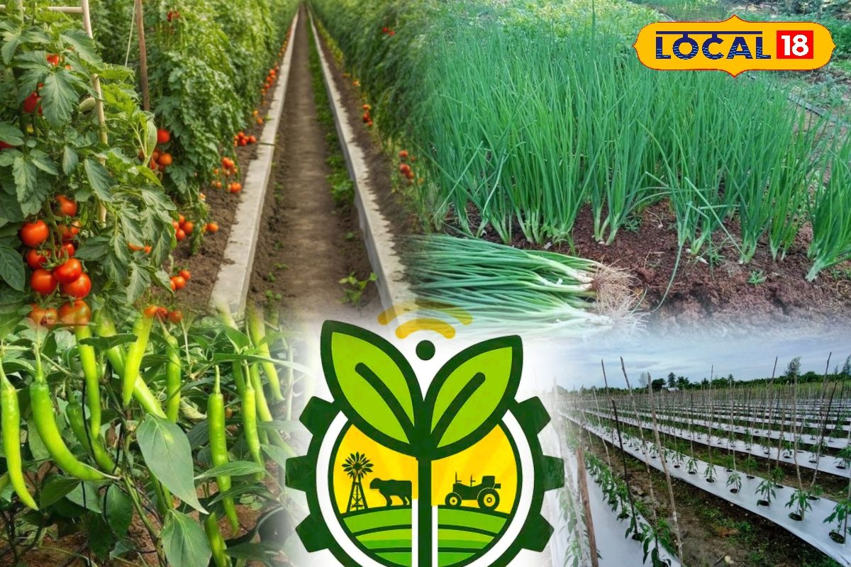 ‘किसान सारथी’ ऐप से बदलेगी खेती की तस्वीर, घर बैठे मिलेगी विशेषज्ञों की सलाह