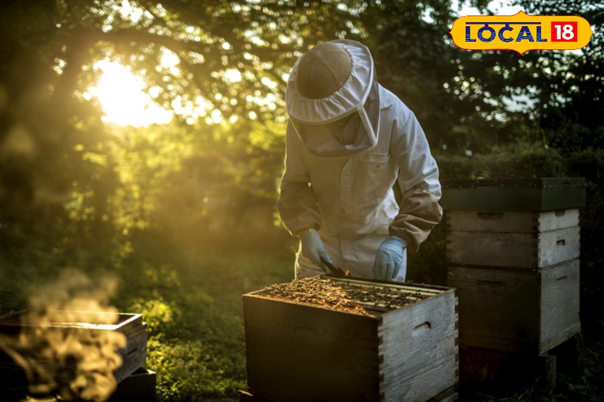 आज ही शुरू करें यह कारोबार, पहले महीने से ही होने लगेगी 1 लाख की आमदनी, साल भर आते रहेंगे नोट ही नोट