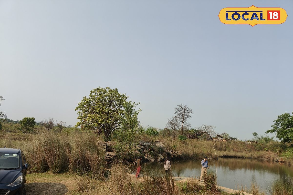 जंगलों से घिरा है यह सरोबर, जमशेदपुर से बेहद नजदीक; गर्मियों में मिलेगा शिमला वाला सुकून, बाइक से पहुंचना आसान