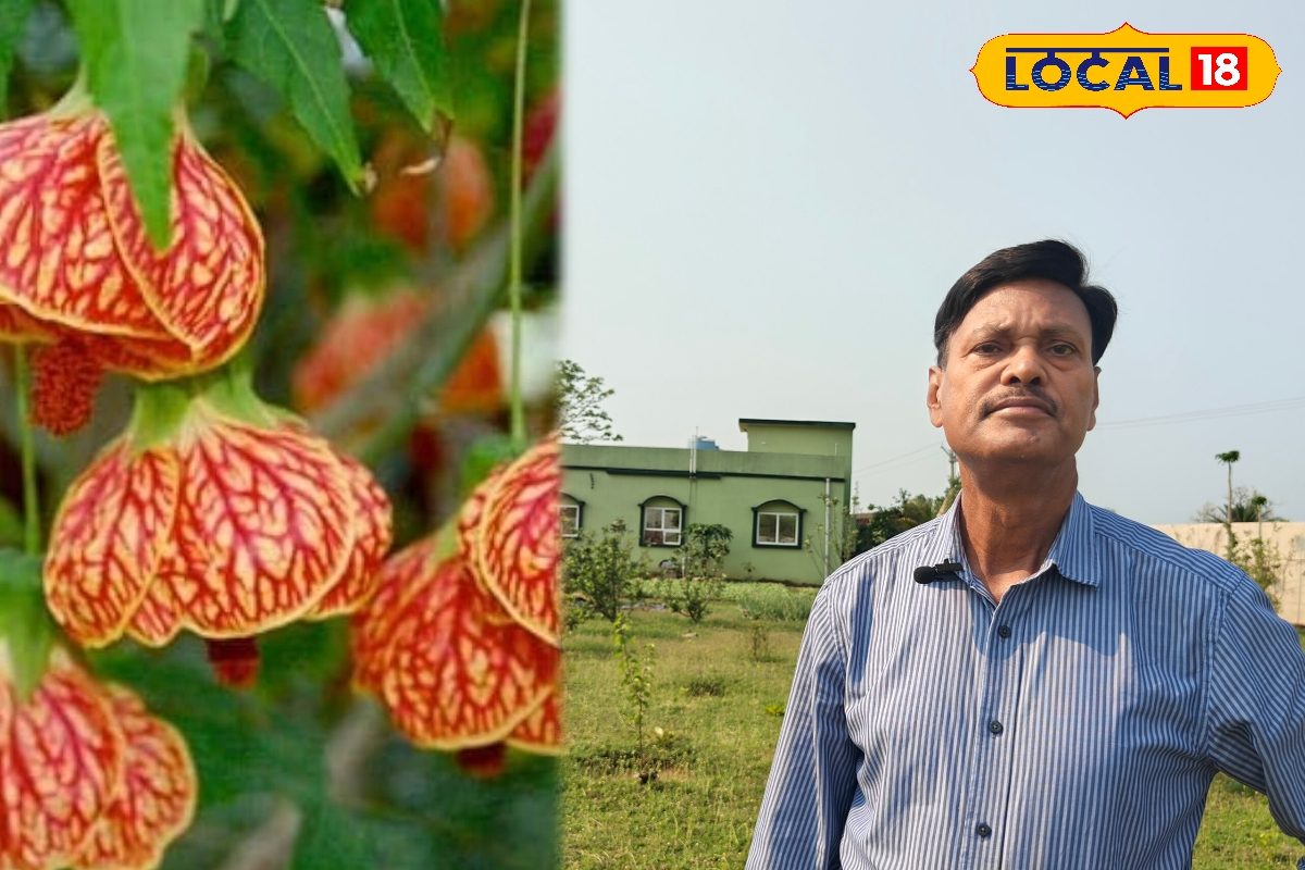 यह बगिया नहीं, प्रोफेसर साहब का बॉटेनिकल गार्डन है…रिटायरमेंट के बाद उगा रहे चाइनीज लालटेन, ब्लैक टमाटर
