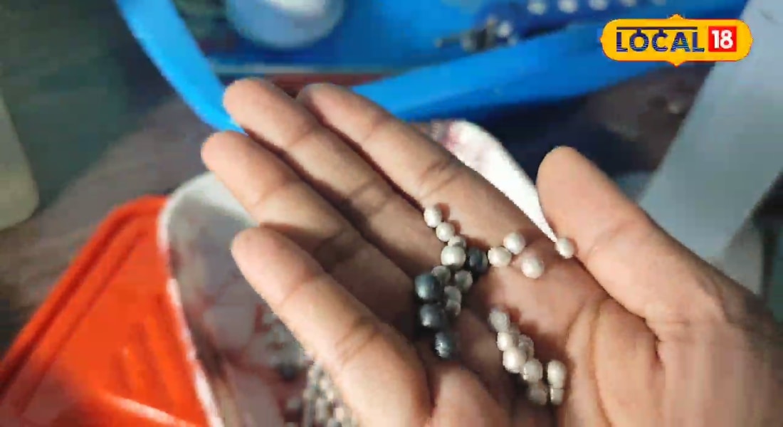 मोती की खेती से ज्यादा कठिन है सेलिंग, इन 3 तरीकों से मिलेगी सही कीमत, नहीं होगी ठगी, जानिए मोती किंग से!