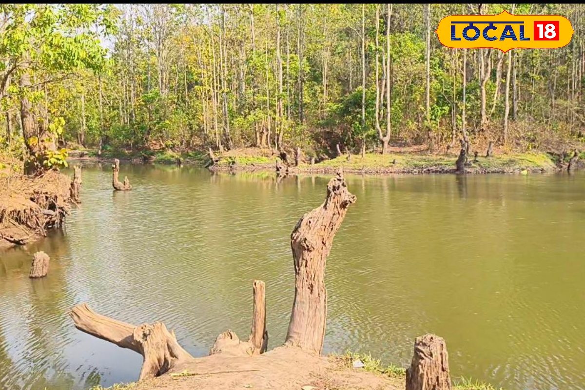 घूमना है शुद्ध नेचुरल जगह, जहां हो फुल शांति, यहां है गुमला का वायरल हिडेन प्लेस