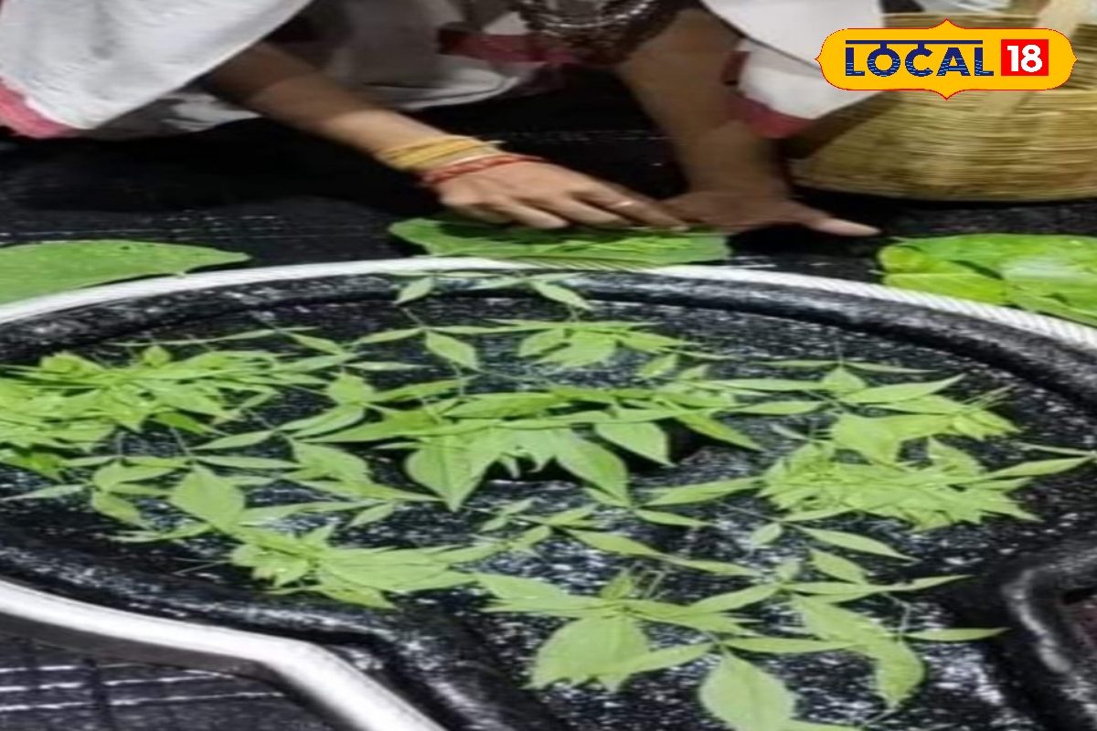 देवघर में अनोखी परंपरा! वैशाख में राम नाम लिखे बिना बाबा बैद्यनाथ को नहीं चढ़ते बेलपत्र, जानें क्या है रहस्य?