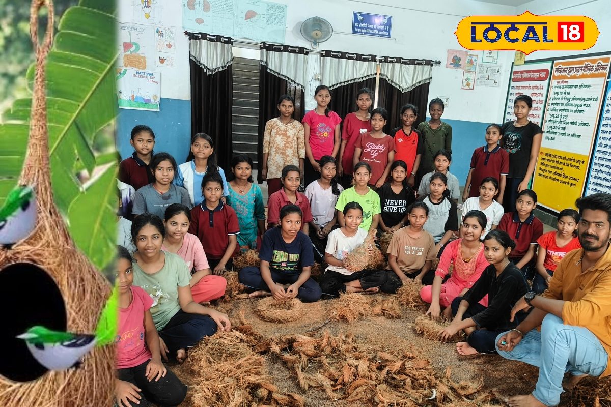 पक्षियों के लिए आशियाना बना रही स्कूल की ये बच्चियां, आज की संवेदना कल खोल सकती आत्मनिर्भरता के द्वार
