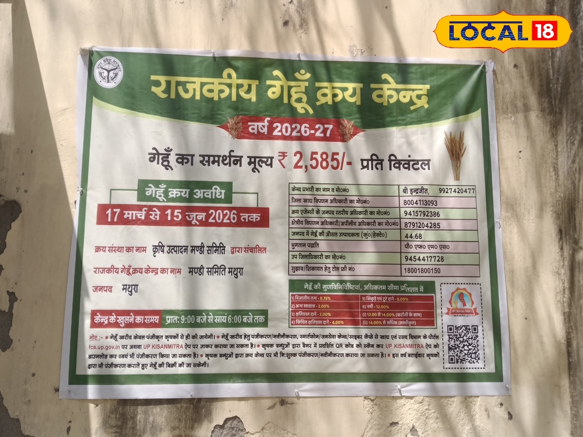 मथुरा अनाज मंडी में गेहूं बेचने से पहले किसान जान लें नियम, करा लें रजिस्ट्रेशन, 2585 रुपये प्रति कुंतल है भाव