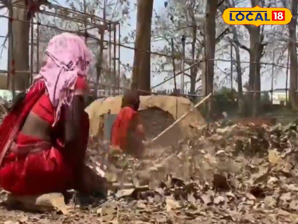 पतझड़ से बढ़ा रोजगार! सूखे पत्तों ने बदली झारखंड में यहां की महिलाओं की किस्मत, जानें कैसे कर रही हैं कमाई