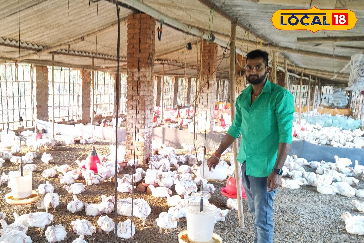 फिजिक्स वाले किसान का कमाल! 35 दिन की मेहनत और 2 लाख का मुनाफा, गांव में हिट हुआ ‘साइंटिफिक’ पोल्ट्री मॉडल