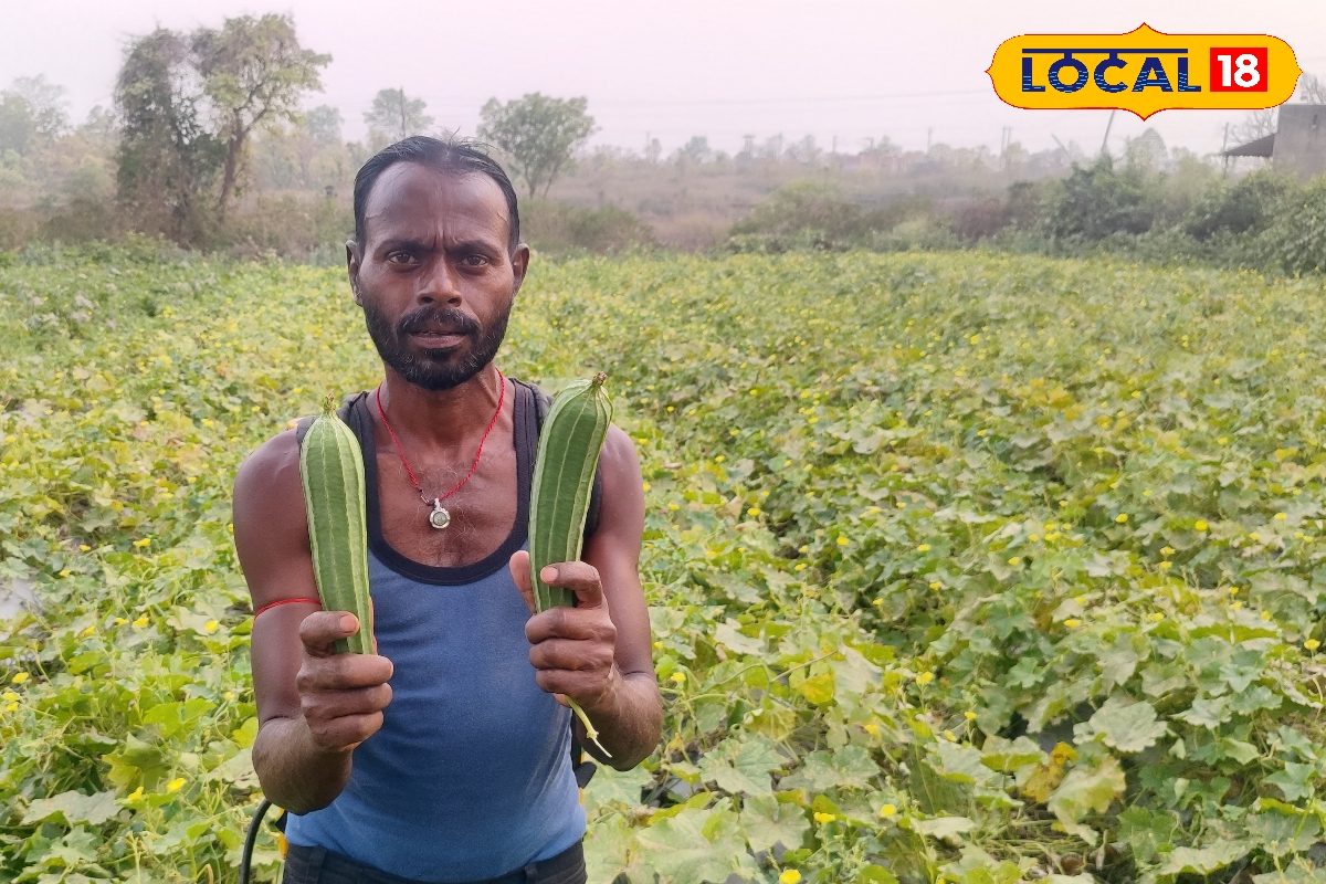 केवल 80 डिसमिल खेत, कमाई लाखों में, बोकारो के किसान के लिए नोट छापने की मशीन बनी झींगा की खेती!