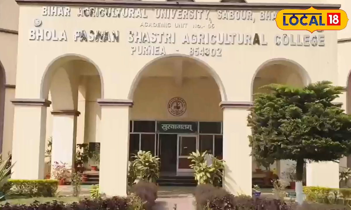 बिहार के इस कृषि कॉलेज को मिला ICAR से ‘A’ ग्रेड! बना देश का अग्रणी संस्थान, मखाना खेती के लिए है मशहूर