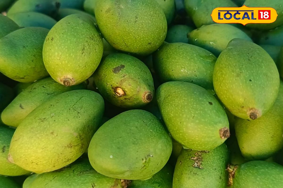 Mango Farming: आम के फलों पर दिखने लगे काले धब्बे? ‘कोयलिया रोग’ से फसल बचाने के लिए अपनाएं यह अचूक उपाय