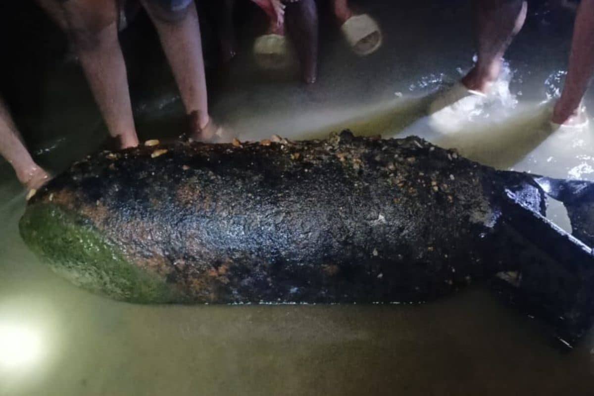 नदी में मछली पकड़ने गए थे लोग, तभी दिखी ऐसी चीज कि भागने लगे सभी, WW2 से जुड़ा कनेक्शन!