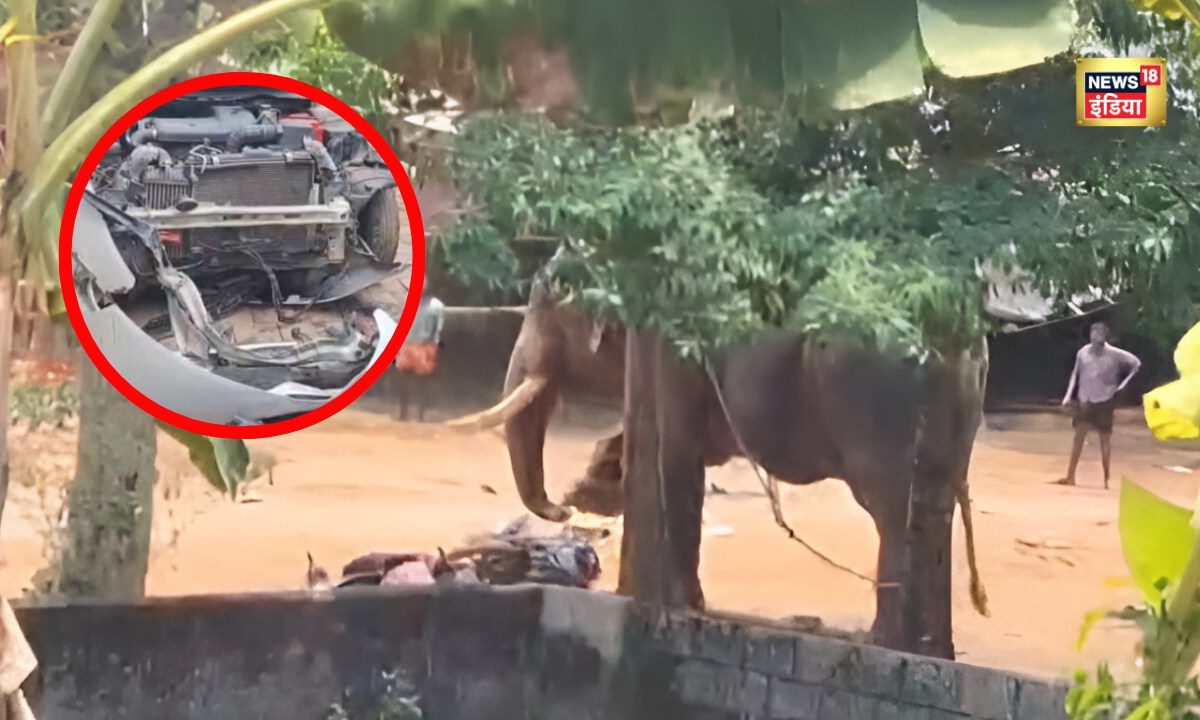 Elephant Video: कारें पलटीं, एक की मौत… मंदिर में अचानक बौखलाया हाथी, जान बचाकर भागे लोग
