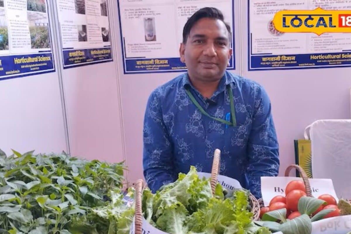 Video: बिना मिट्टी के उगेंगे टमाटर-शिमला! पूसा की इस जादुई तकनीक से 40 नहीं 25 दिन में तैयार होगी फसलें