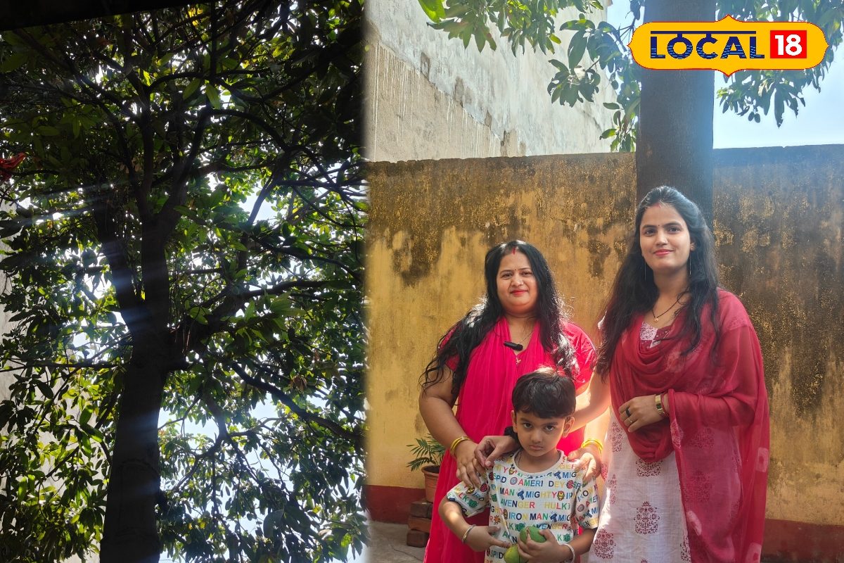 पेड़ का पहला आम न पहुंचे बेटियों को तो सारे फल हो जाते खराब! पीढ़ियों से परिवार निभा रहा परंपरा, मानते चमत्कार