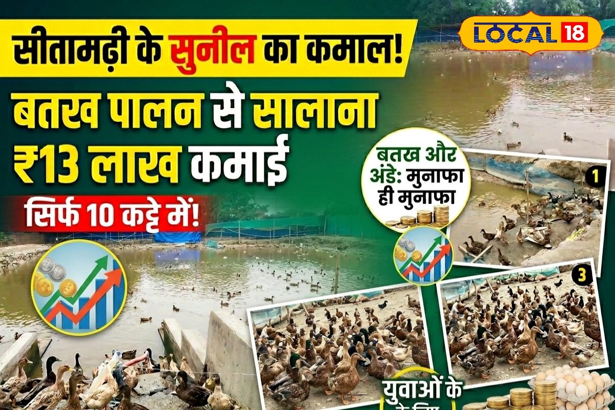 Success Story: बत्तख पालन का सक्सेस मॉडल! सालाना 13 लाख का टर्नओवर, गांव की बदली अर्थव्यवस्था