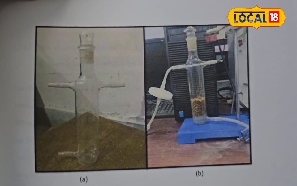 जाजमऊ में मिला चमत्कारी फंगस, टेनरियों का जहरीला क्रोमियम सोख कम करेगा प्रदूषण, कानपुर के वैज्ञानिकों की खास खोज