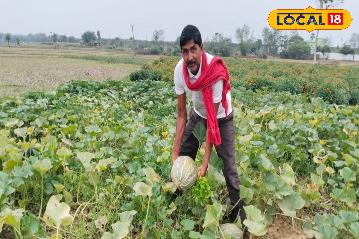 देवघर का यह किसान घुम चुका है विदेश, गांव में ठोका आलीशान घर, मिश्रित खेती को ऐसा बनाया फायदे का सौदा