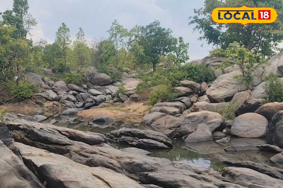 Ranchi Best Waterfalls: बच्चों के लिए भी सेफ हैं ये 5 वॉटरफॉल, नेचुरल स्विमिंग पूल, जमकर करें छई-छपा-छई!