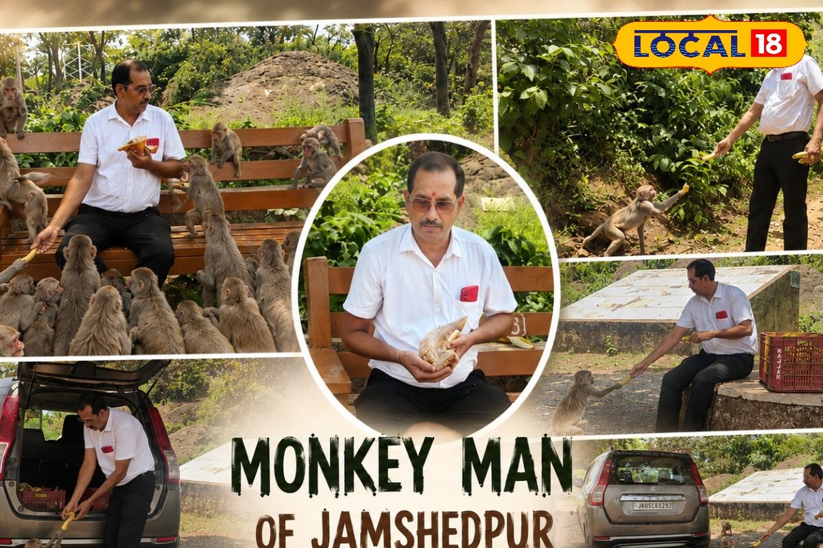 मिलिए ‘बंदर वाले वकील साहब’ से, हर रविवार फलों से भरी गाड़ी लेकर पहुंचते हैं जंगल, हॉर्न सुनते ही दौड़ पड़ते बंदर