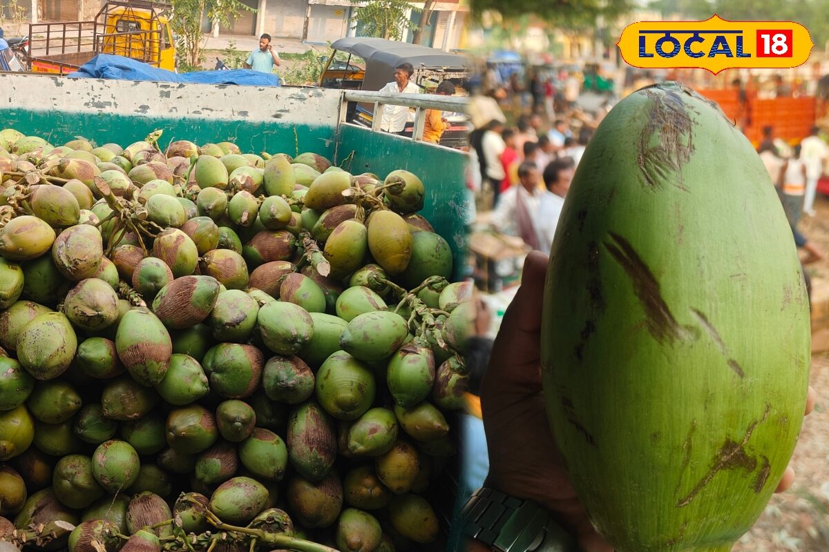 न डिग्री, न एक्सपीरियंस…कोई भी कर सकता है इस हरे फल का बिजनेस, कम लागत में रोज 2000 तक की कमाई