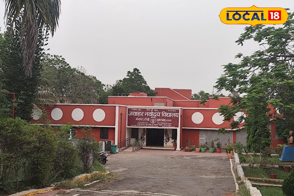 1 रुपया खर्च नहीं और हाई-क्लास पढ़ाई, जंगल जैसा कैंपस…इस स्कूल में मिल जाए एडमिशन तो पेरेंट्स चढ़ाते प्रसाद!