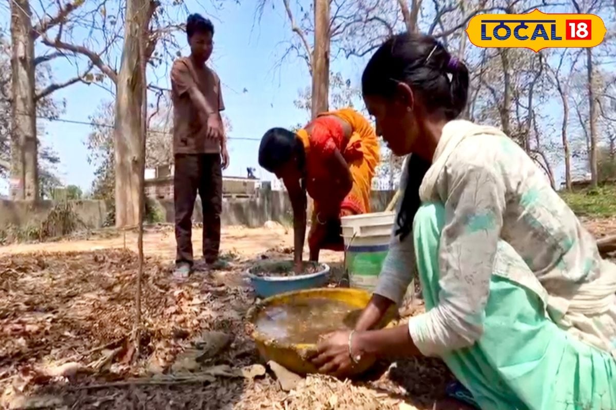 कचरा समझकर जलाते थे पत्ते, अब वही बना कमाई का जरिया, पलामू की महिलाएं हर्बल कंपोस्ट से कर रहीं लाखों की कमाई