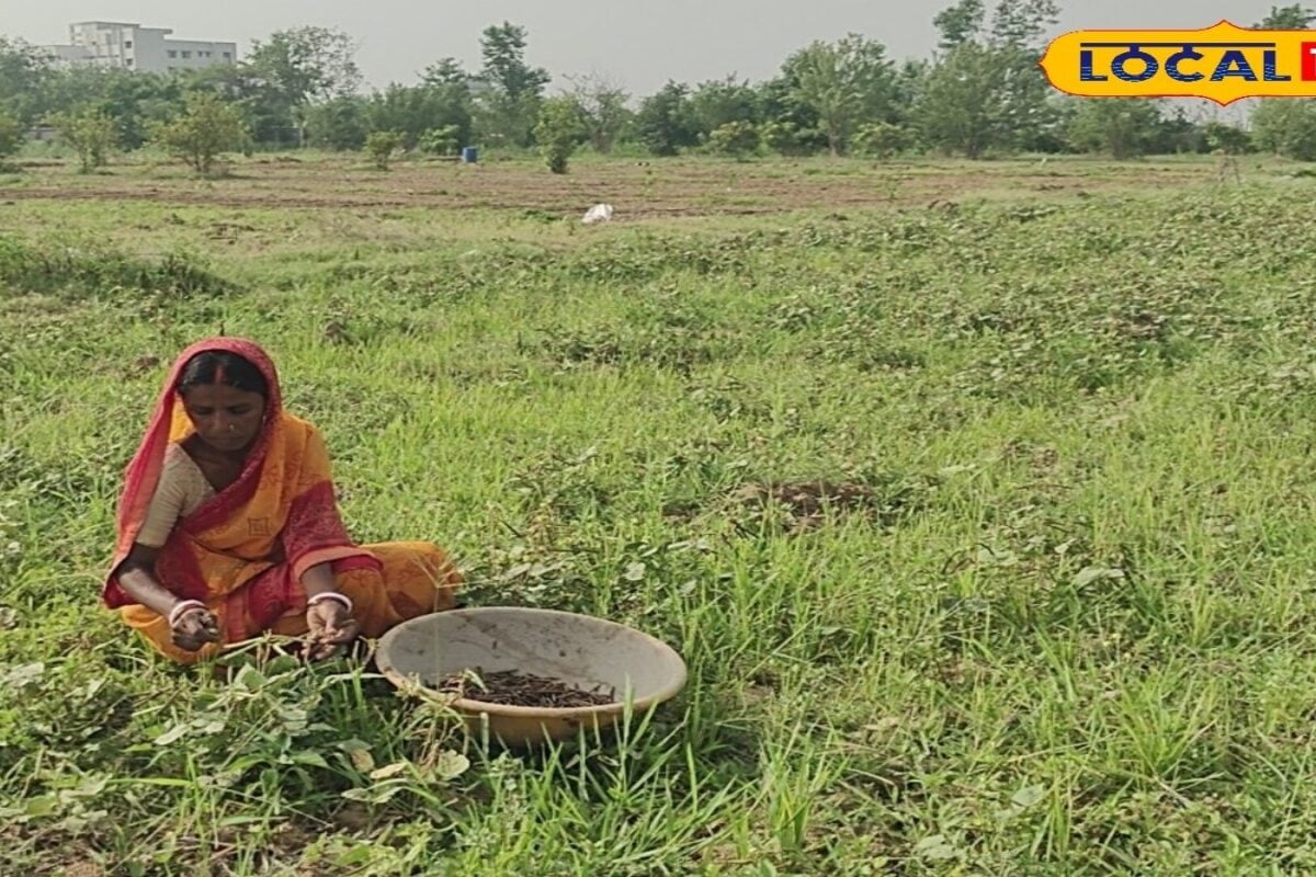 पलामू में किसानों के लिए बन रहा ‘सुपर फार्म’, हाईटेक इंटीग्रेटेड फार्मिंम से होगी तगड़ी कमाई