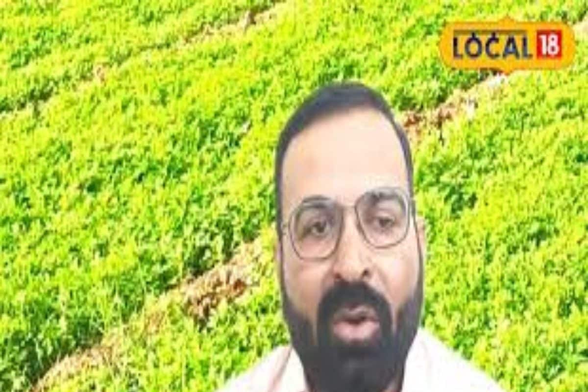 गर्मी में किसान करें ट्रिपल क्रॉप फार्मिंग, जानें एक खेत पर तीन फसल उगाने का तरीका, होगी लाखों में कमाई