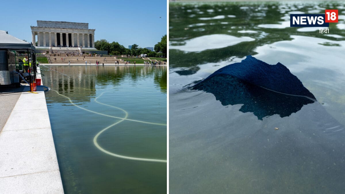 Lincoln Memorial Reflecting Pool Renovation | Donald Trump News Hindi | Mall News- डोनाल्ड ट्रंप की खबर लिंकन पूल का पेंट उखड़ा