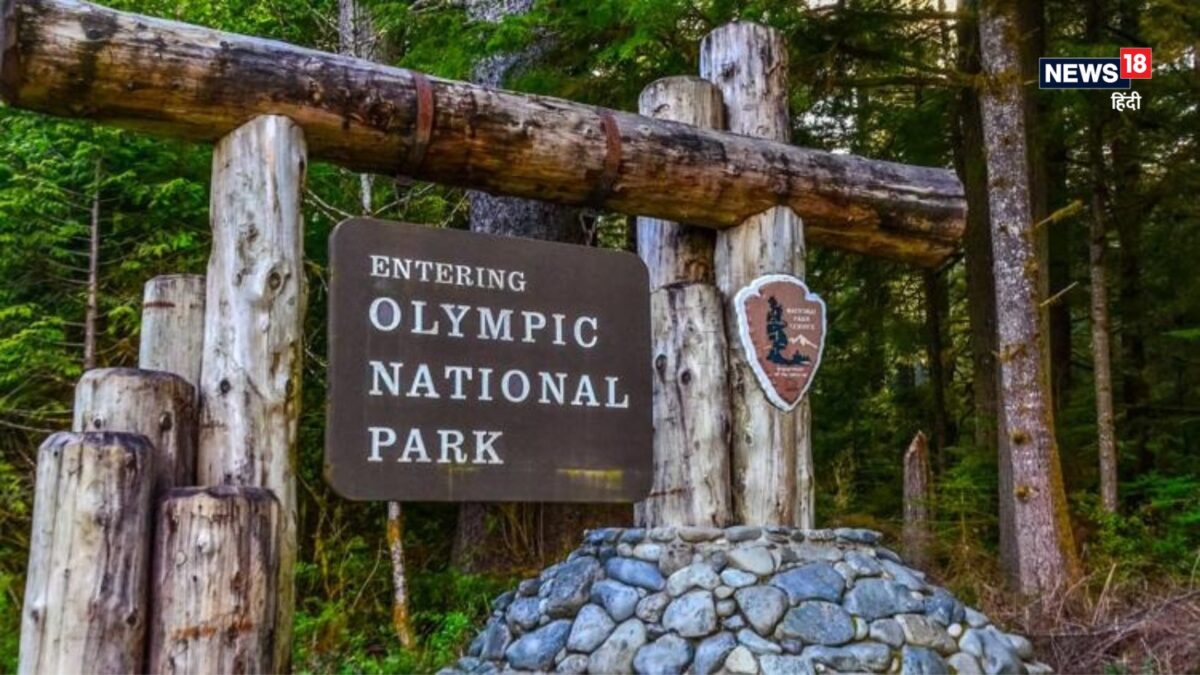Olympic National Park Case | Sleeping Bag Mystery: स्लीपिंग बैग में 26 साल से मौत की नींद सो रहा था जोसफ, सामने आया भूतिया टेंट का रहस्य