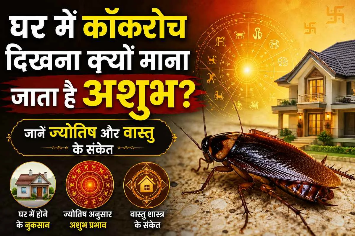 घर में कॉकरोच दिखना क्यों माना जाता है अशुभ? जानें ज्योतिष, वास्तु और वैज्ञानिक कारण