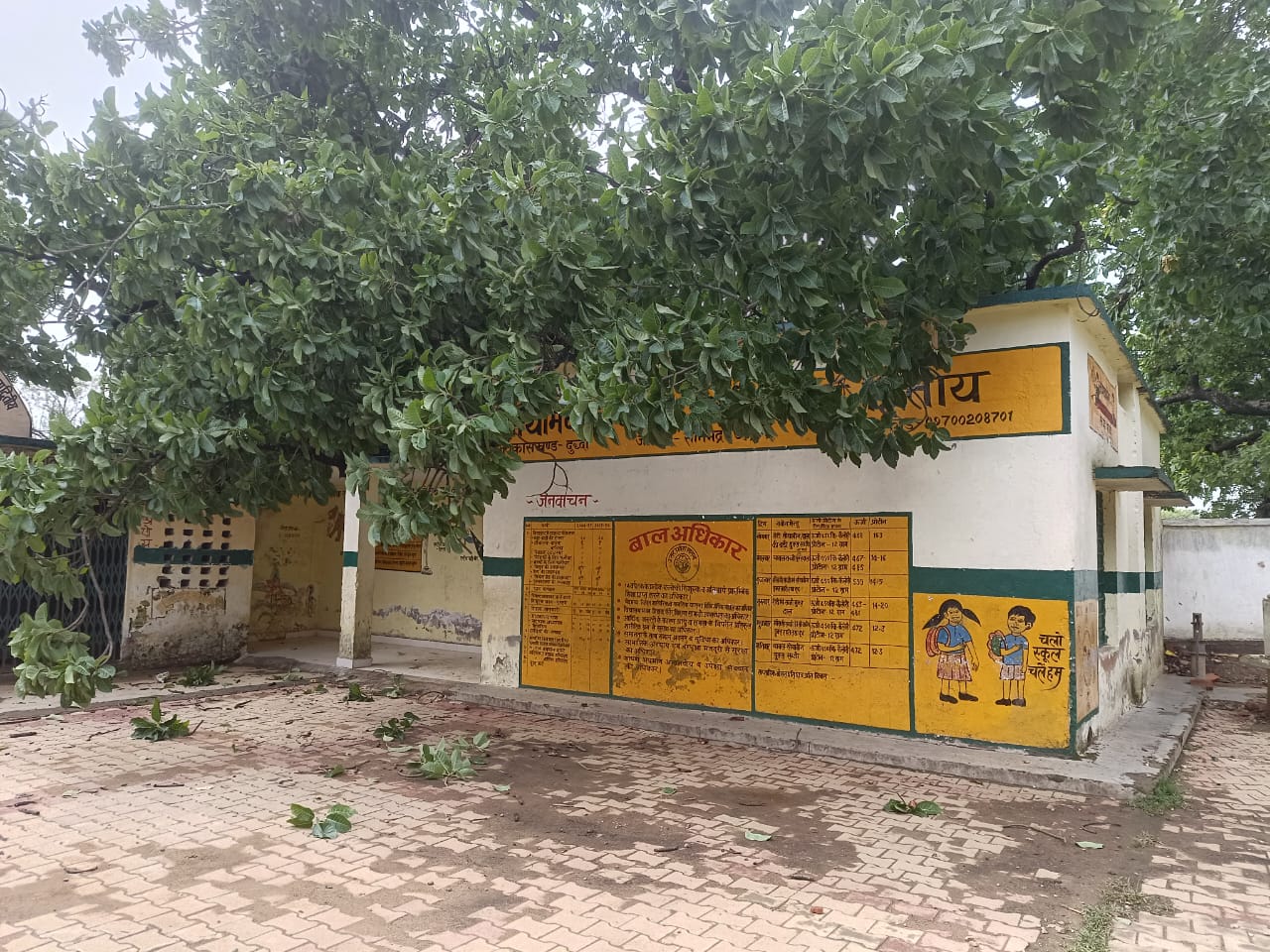 विद्यालय की छत पर गिरा महुआ का विशालकाय पेड़, बाल-बाल टला बड़ा हादसा