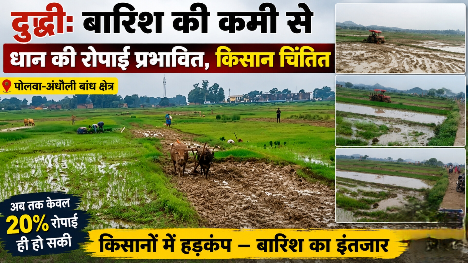 बारिश की कमी से धान की रोपाई प्रभावित, पोलवा-अंधौली बांध क्षेत्र में किसान चिंतित