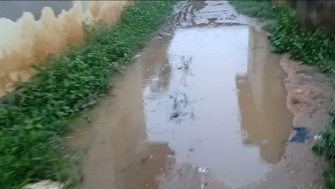 पोलवा में कच्चे मार्ग पर सफाई न होने से ग्रामीणों में नाराजगी, दुर्घटना और बीमारी का बढ़ा खतरा